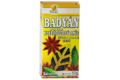 B-badyan-plod-96009